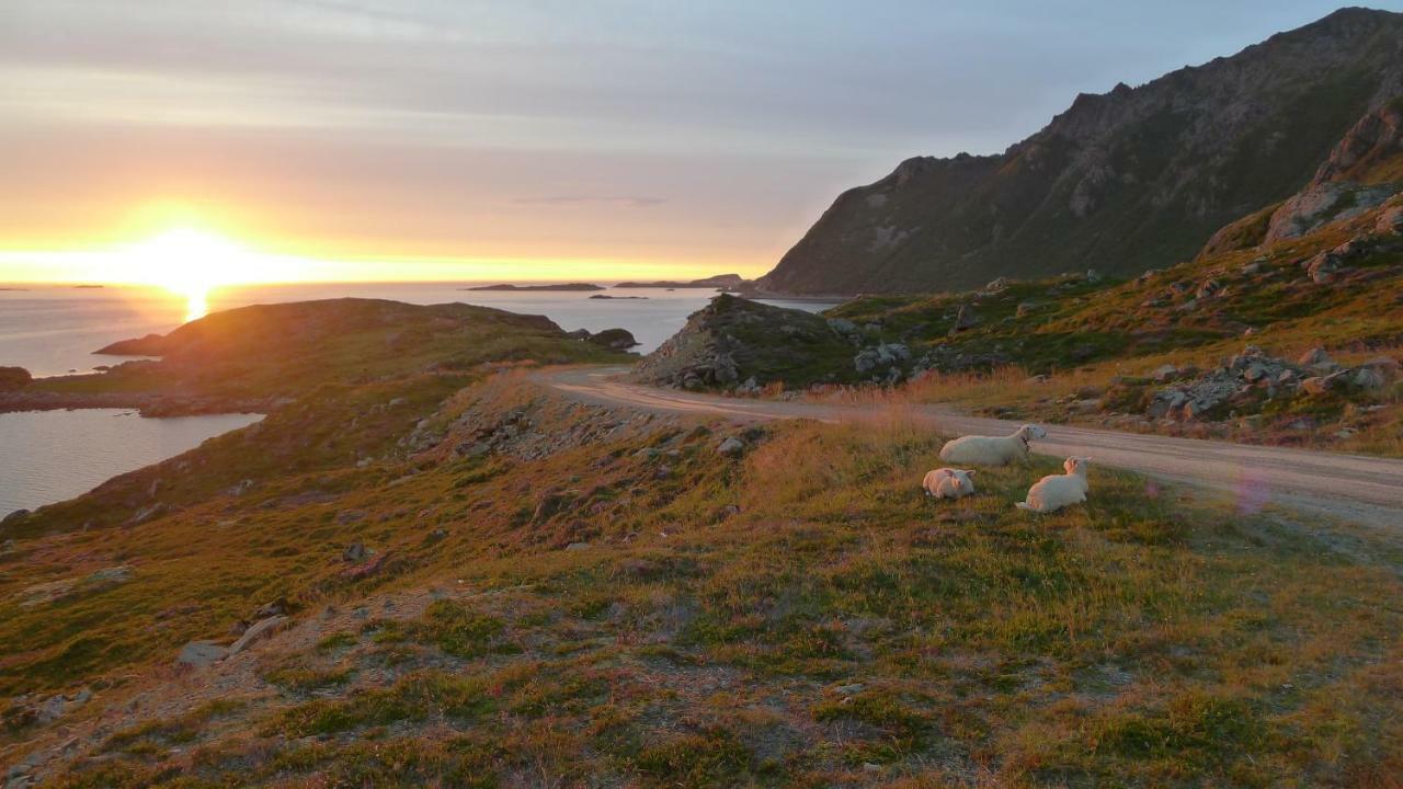 Apartment For Holiday In Nyksund ภายนอก รูปภาพ